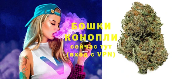 спиды Аркадак