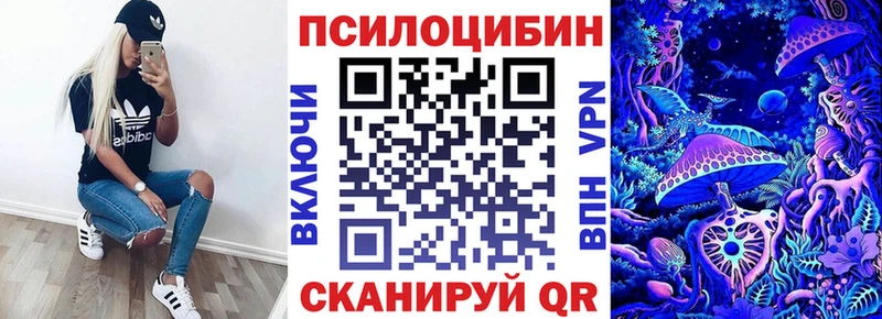 Псилоцибиновые грибы Cubensis  Купить  Волхов 